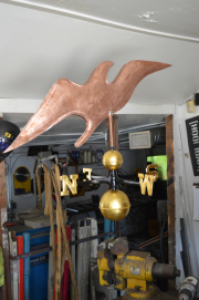 Albatross 1
