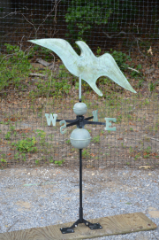 Albatross 2